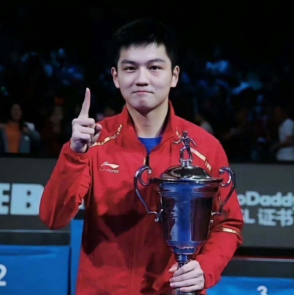 法国乒乓球队碾压瑞典乒乓球队，王皓打破历史纪录的简单介绍